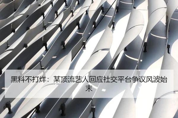 黑料不打烊：某顶流艺人回应社交平台争议风波始末